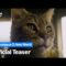 Apocalypse Z: New World, data di uscita e teaser del sequel